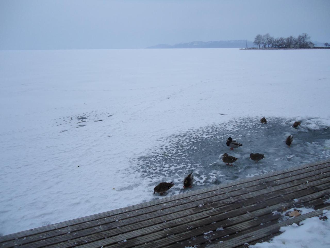 Kék Lagúna Vendégház Balatonfüred Exterior foto